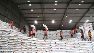 Harga Beras Kembali Naik, Pemerintah Diminta Segera Bertindak