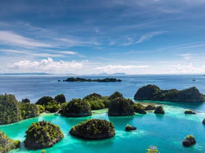 Pesona Raja Ampat: Keindahan Bawah Laut Yang Mendunia