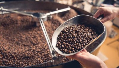 Kopi Toraja: Aroma Tradisi Dari Tanah Sulawesi