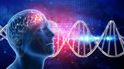 Cara Otak Bekerja Saat Menerima Informasi Baru