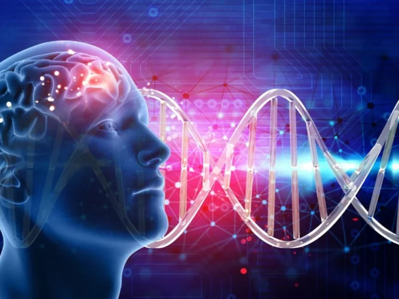 Cara Otak Bekerja Saat Menerima Informasi Baru