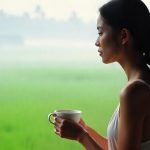 Seni Hidup Lambat: Kenapa Slow Living Makin Di Cari?