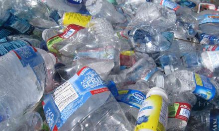 Olah Plastik Dengan Benar: Investasi Biar Bumi Gak Makin Rusak