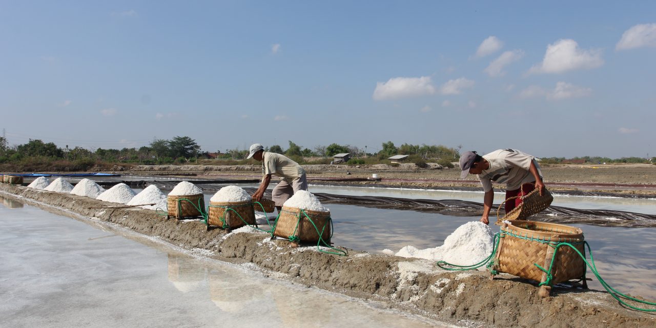 Swasembada Garam 2027: Antara Obsesi Dan Realita