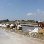 Swasembada Garam 2027: Antara Obsesi Dan Realita