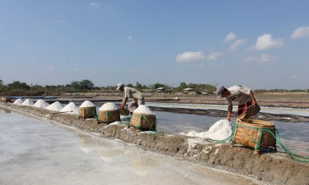 Swasembada Garam 2027: Antara Obsesi Dan Realita