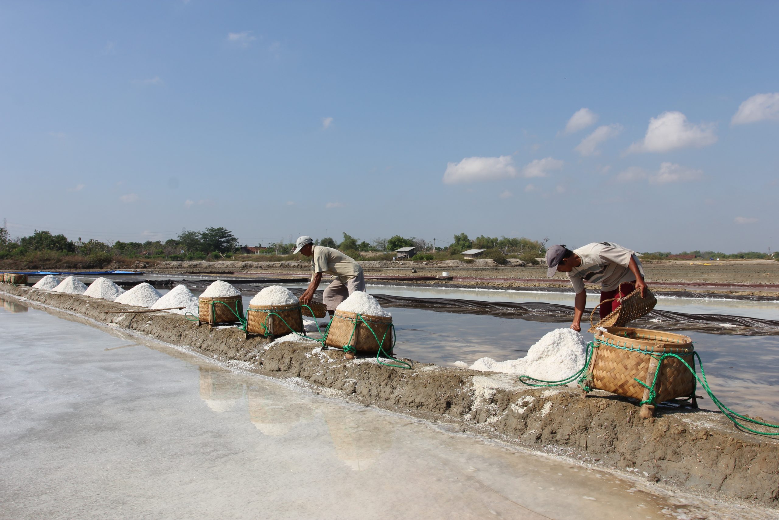 Swasembada Garam 2027: Antara Obsesi Dan Realita