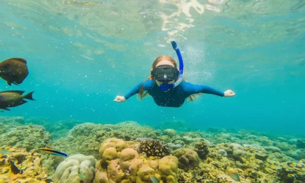 Panduan Snorkeling Pertama Kali Biar Seru & Gak Panik