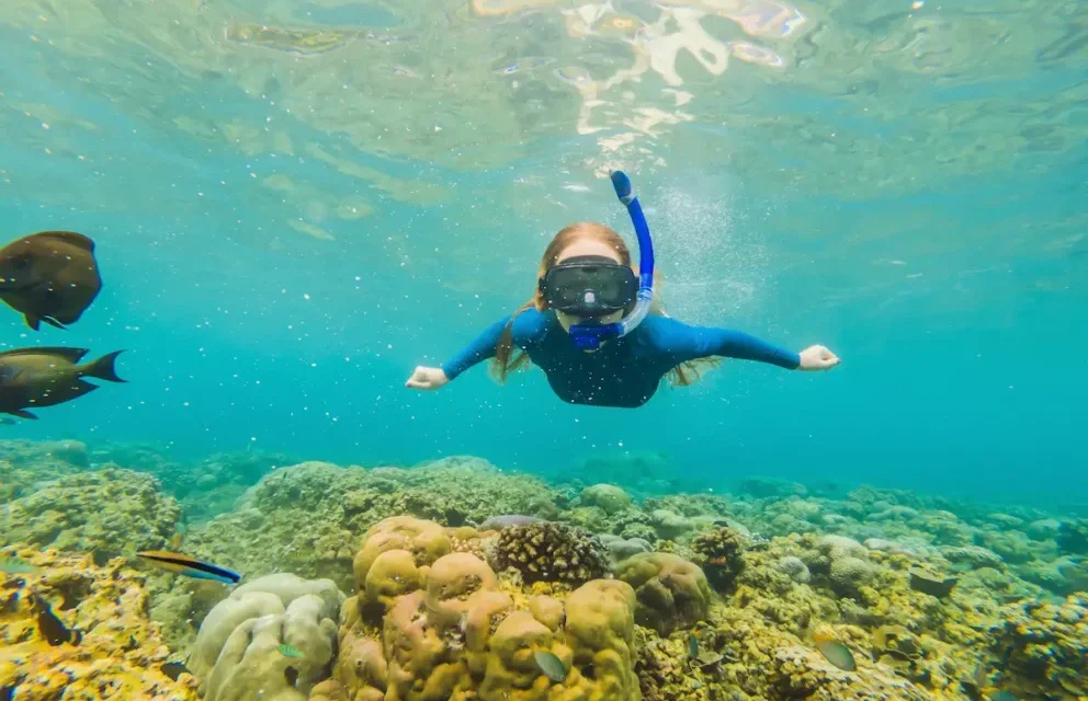 Panduan Snorkeling Pertama Kali Biar Seru & Gak Panik