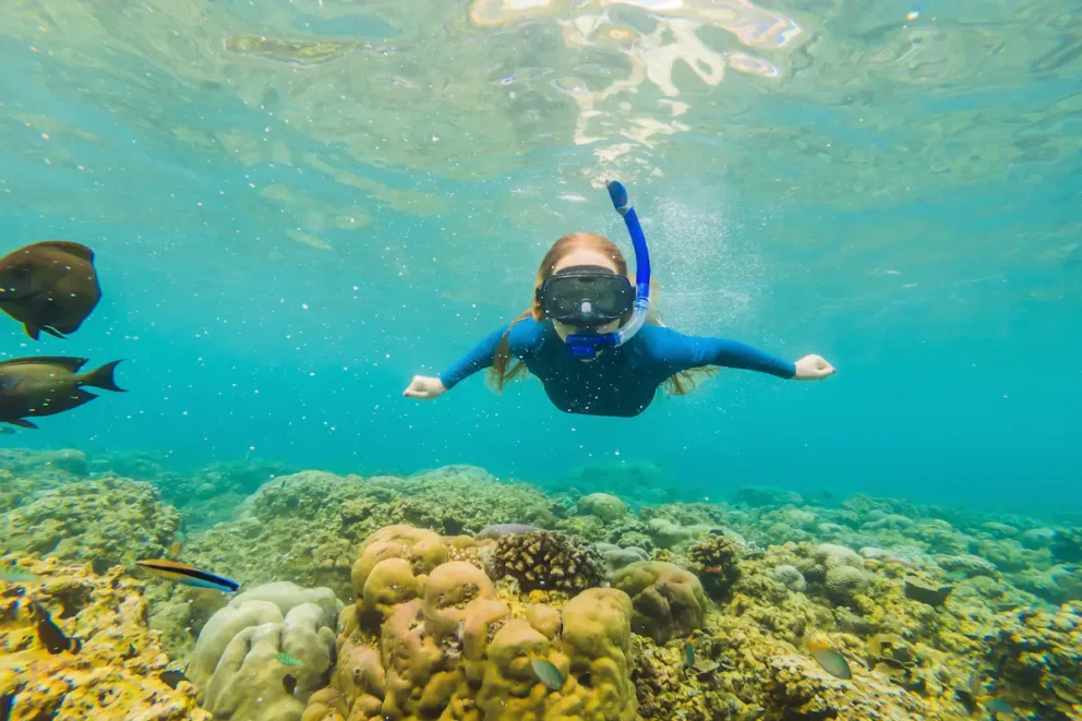 Panduan Snorkeling Pertama Kali Biar Seru & Gak Panik