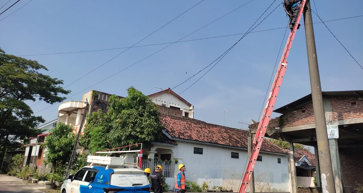 Penyebab Utama Listrik Di Pedesaan Sering Mati Pet