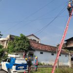 Penyebab Utama Listrik Di Pedesaan Sering Mati Pet