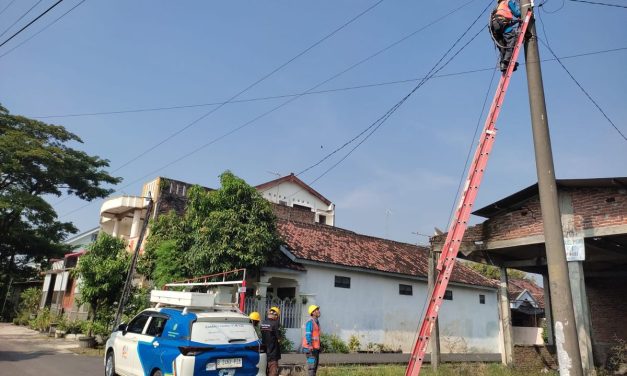 Penyebab Utama Listrik Di Pedesaan Sering Mati Pet