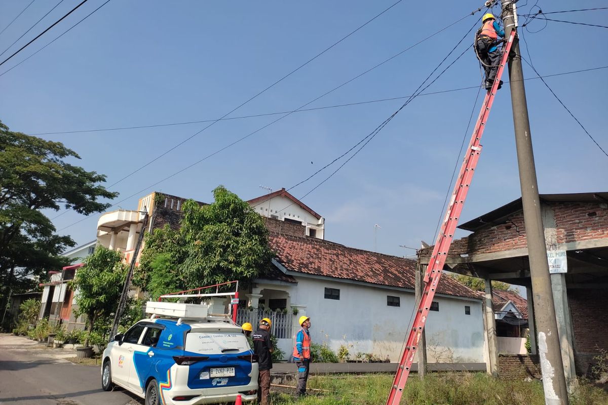 Penyebab Utama Listrik Di Pedesaan Sering Mati Pet