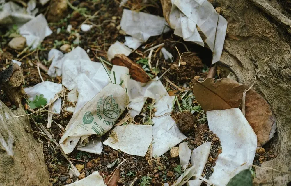 Plastik Biodegradable: Solusi Kurangi Polusi Atau Masalah Baru?