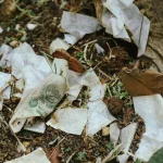 Plastik Biodegradable: Solusi Kurangi Polusi Atau Masalah Baru?