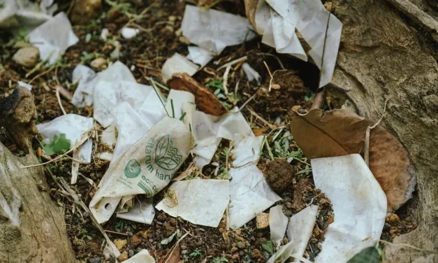 Plastik Biodegradable: Solusi Kurangi Polusi Atau Masalah Baru?