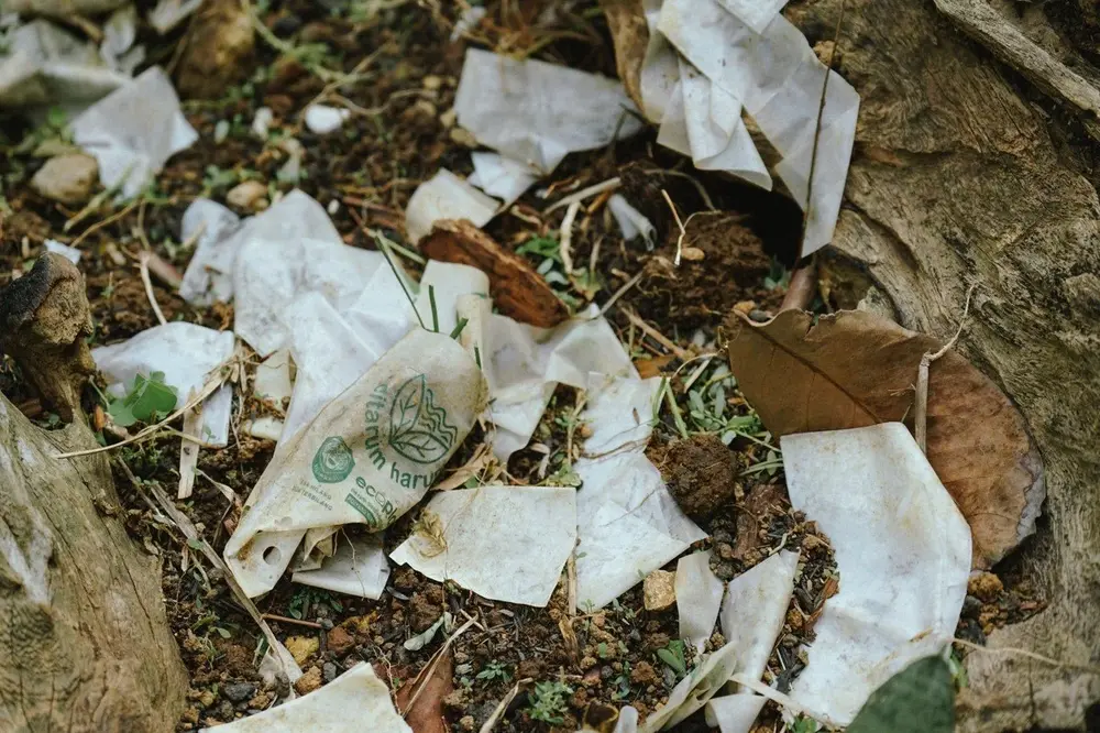 Plastik Biodegradable: Solusi Kurangi Polusi Atau Masalah Baru?