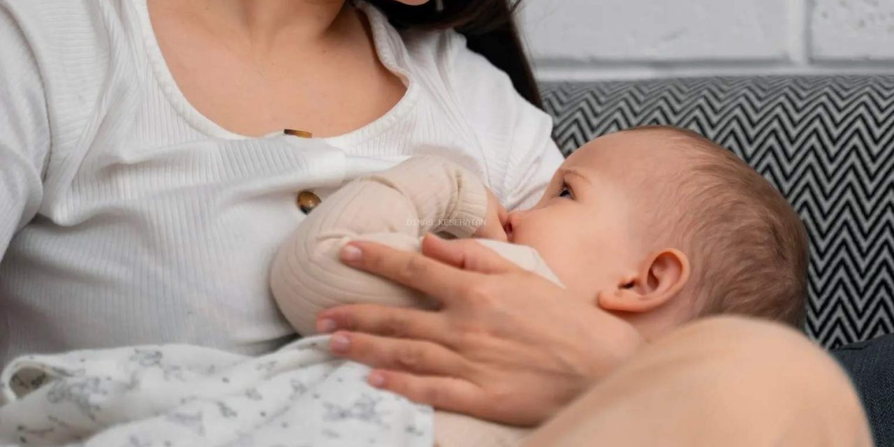 Rahasia Bayi Sehat Dan Cerdas: Cukup Beri ASI Eksklusif!