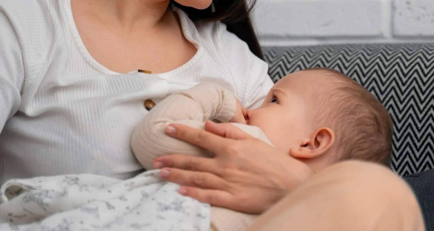 Rahasia Bayi Sehat Dan Cerdas: Cukup Beri ASI Eksklusif!