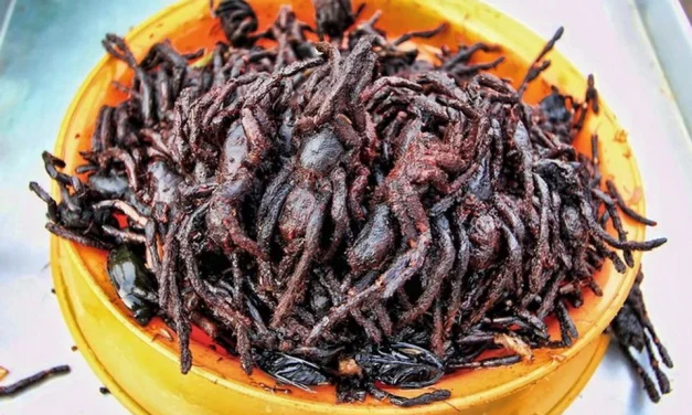 Ekstrim Tapi Enak! Kuliner Nyeleneh Ini Malah Laris Manis