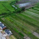 Awas! Alih Fungsi Lahan Bisa Bawa Wabah Baru