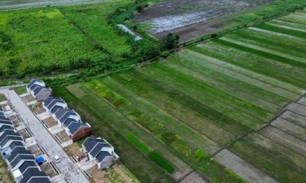 Awas! Alih Fungsi Lahan Bisa Bawa Wabah Baru
