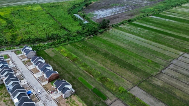 Awas! Alih Fungsi Lahan Bisa Bawa Wabah Baru