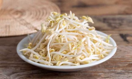Pantang Di Makan! Daftar Makanan Buat Penderita Kista Payudara